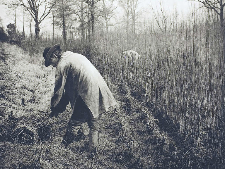 America at 250: A look at Illinois of yesteryear and how it played a ...