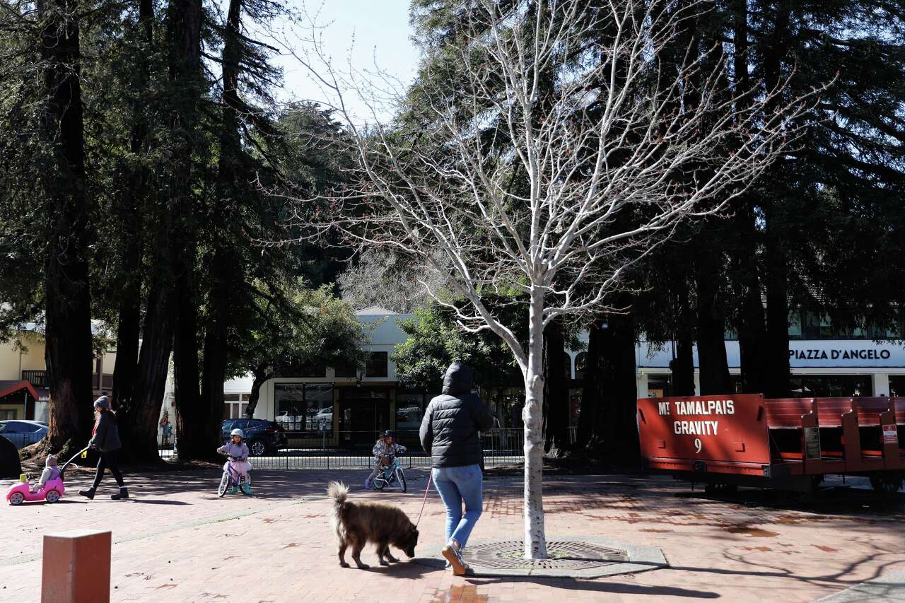 We asked Bay Area residents where they'd like to move. The answers surprised us