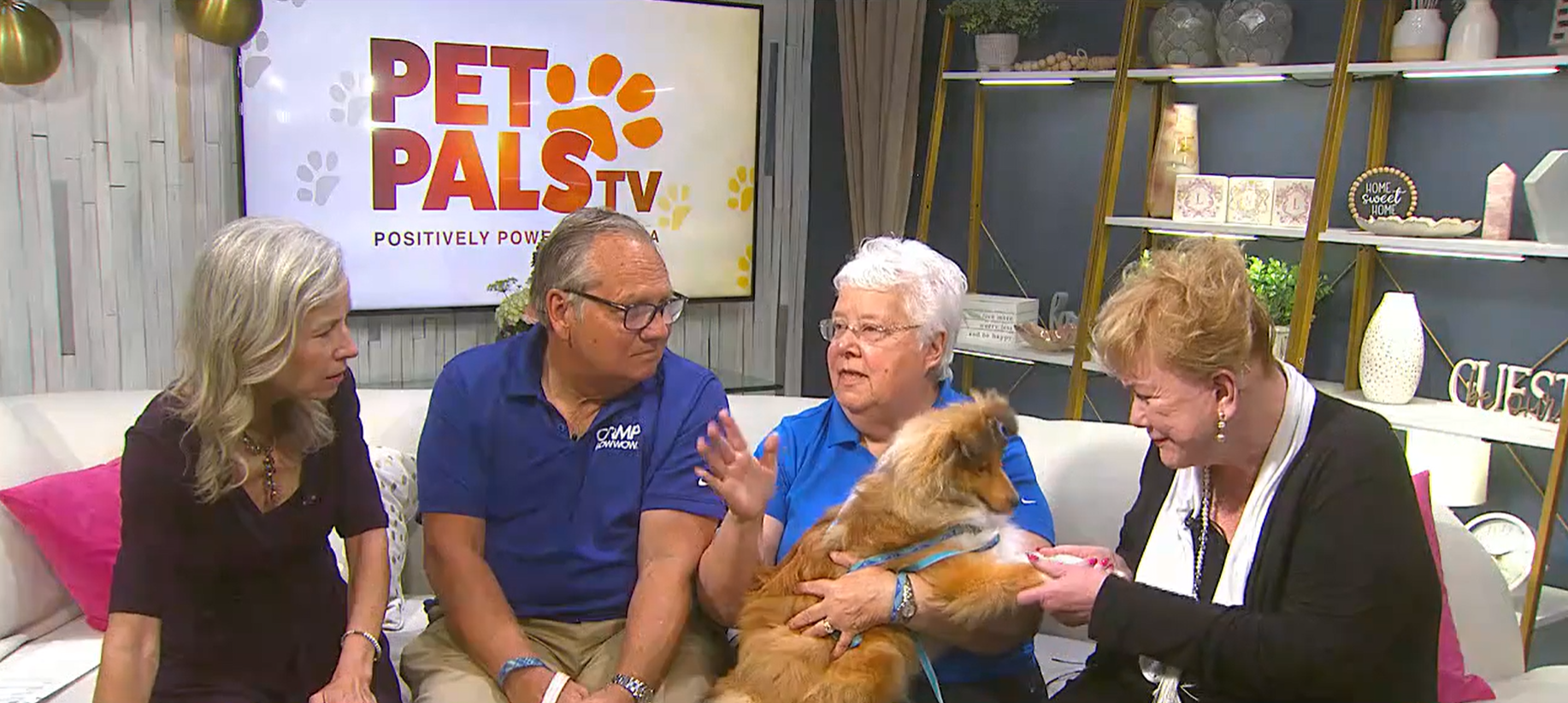 Pet Pals TV: Keeping pets safe and calm during 4th of July celebrations
