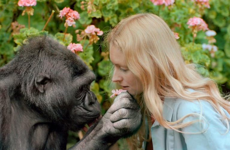 Apes and humans share an ancient laughter rhythm dating back 15 million ...