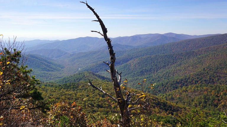 10 secret mountain trails in Shenandoah National Park that tourists ...