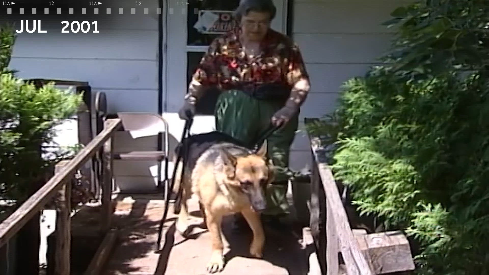 Iowa dog inducted into state's pet hall of fame in 2001 after saving ...