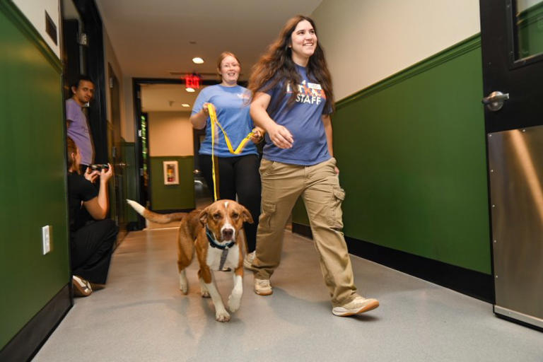 Furkids opens new non-traditional dog shelter