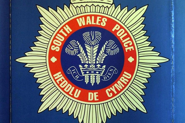 South Wales Police said on Friday evening that it has ‘limited information’ on the arrests