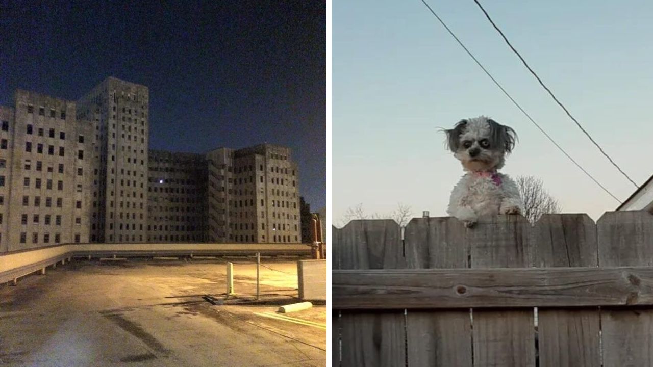 Disturbing photos that still haunt the internet