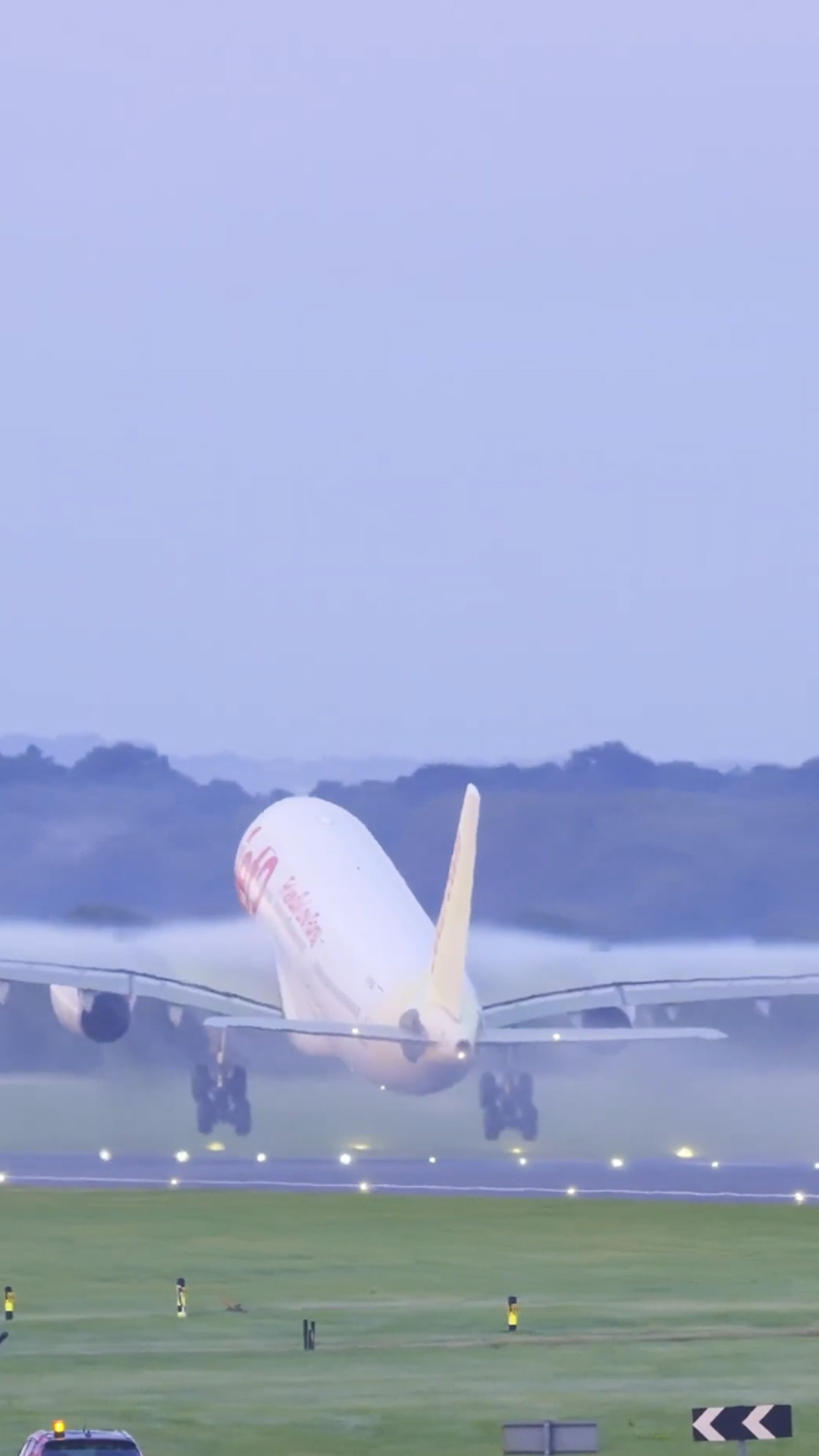 Plane wing fluff caught on camera