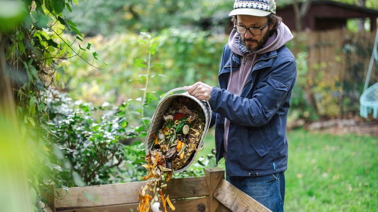 Not banana peels: The other fruity kitchen scrap your compost will love