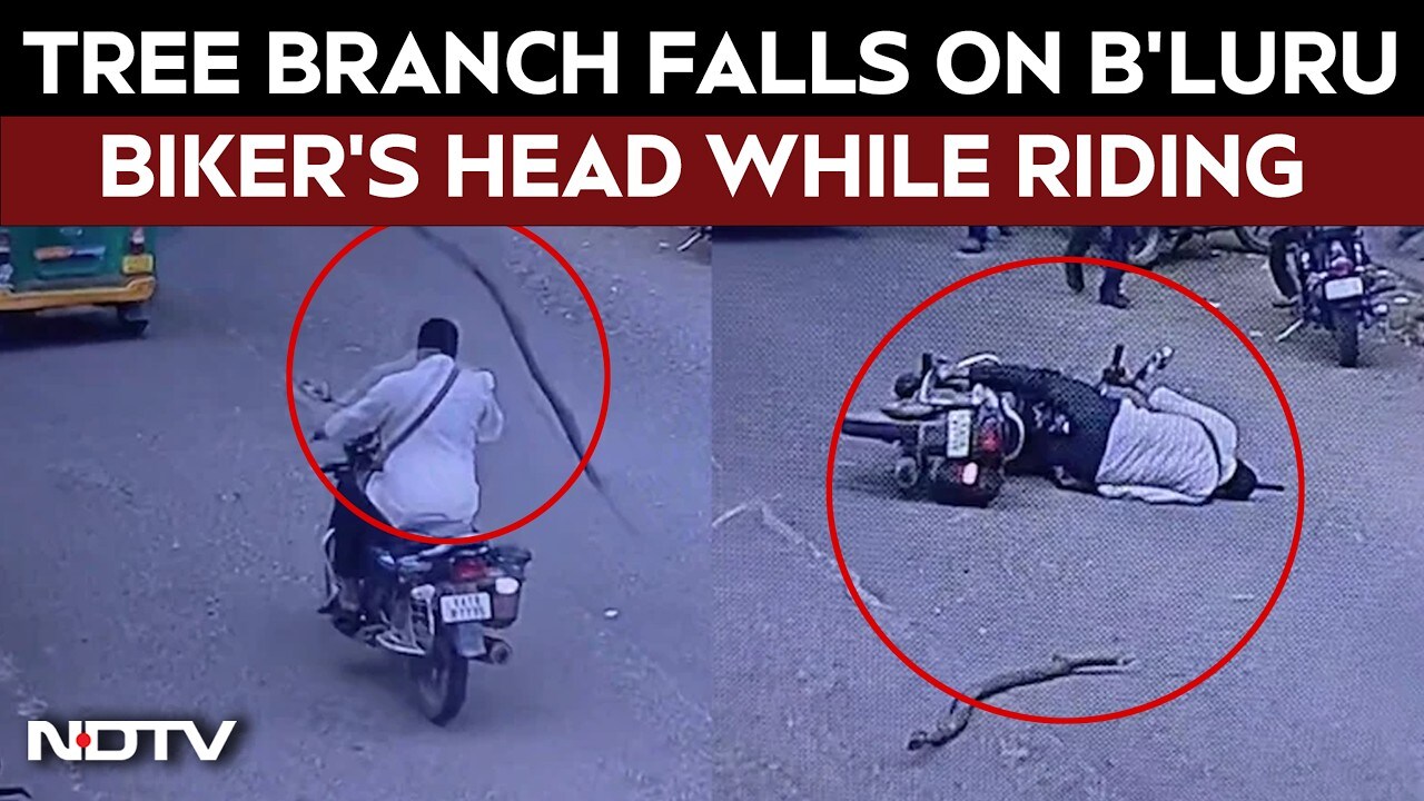 Viral video | Tree branch falls on Bengaluru biker's head while riding ...