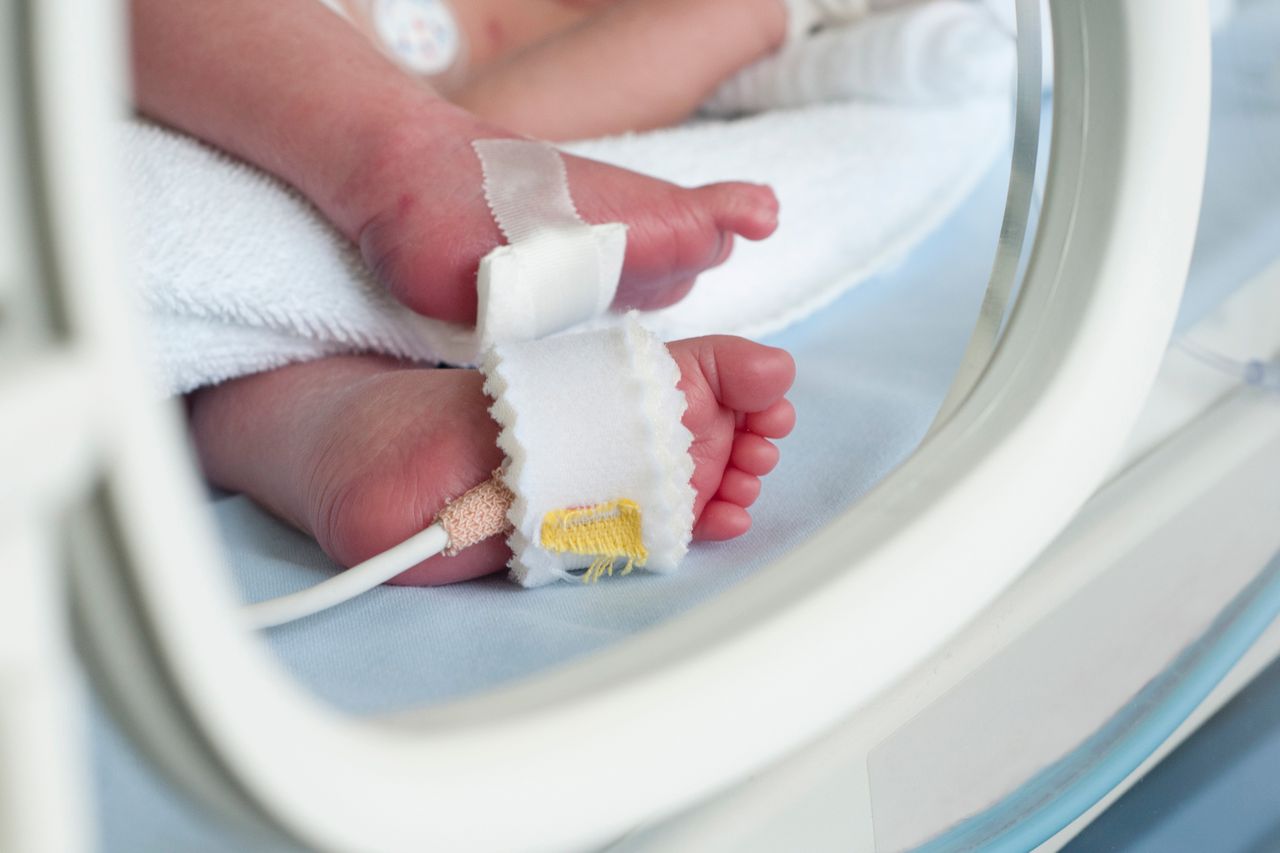 Newborn baby in incubator
