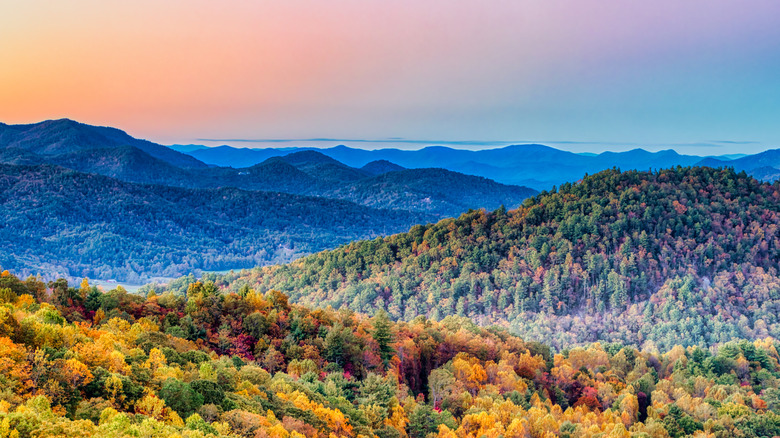 Georgia's 10 most beautiful Blue Ridge Mountain trails for hiking and ...