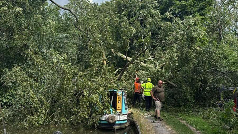 Canal blocked after tree falls onto boat