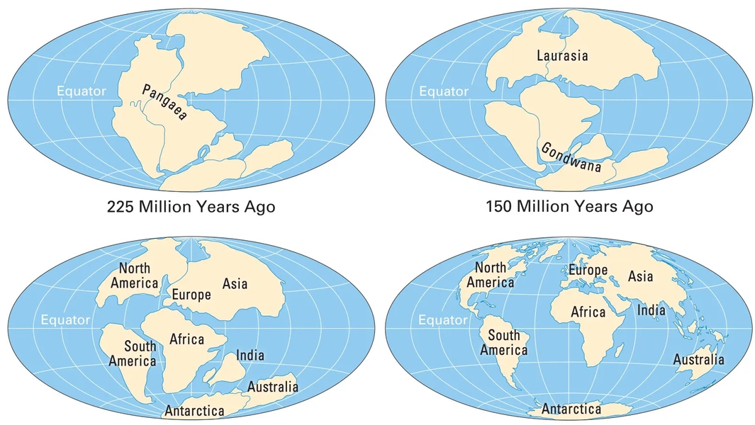 Tracing Earth s Continents Through Deep Time