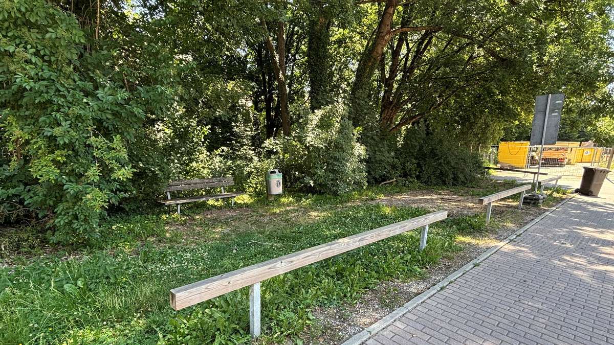 Kritik am Johannispark-Umbau: FSM warnt vor Verlust der Grünflächen