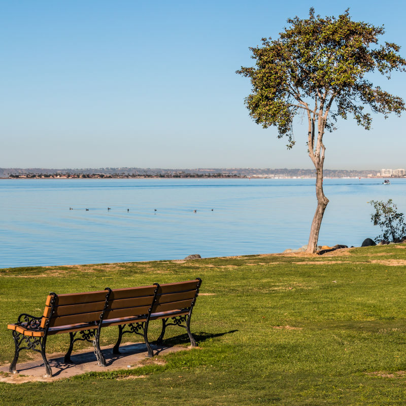 Bench-at-Bayfront-Park-in-Chula-Vista-CA