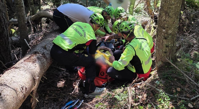 Scivola nel bosco andando a funghi, soccorsa 67enne: poco dopo padre e ...