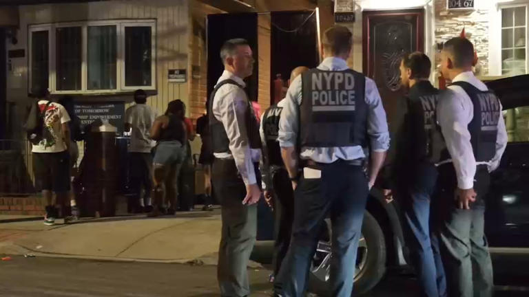 NYPD: Man shot in head near Van Wyck in Queens; suspects fled scene on ...