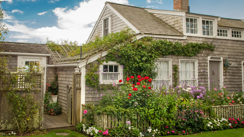 What is a Cape Cod style house and what does one look like?