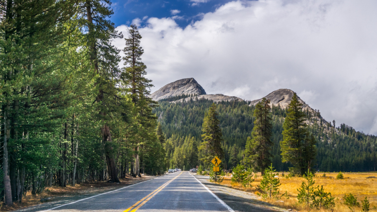 15 national parks with easy access to famous landmarks