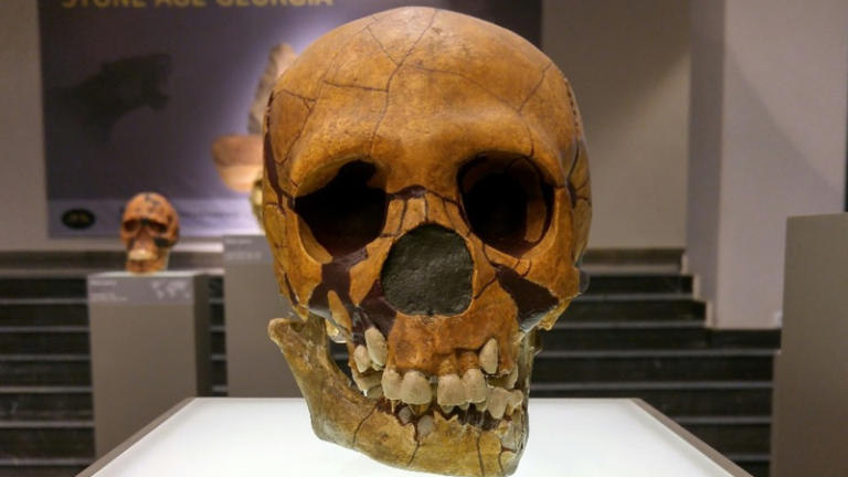 DNA shows Europe’s last Neanderthals were far more diverse than the ...