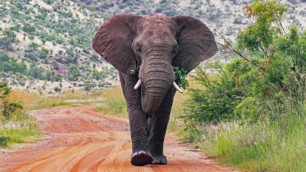 https://img-s-msn-com.akamaized.net/tenant/amp/entityid/AA26JtYq.img?w=768&h=432&m=4&q=86