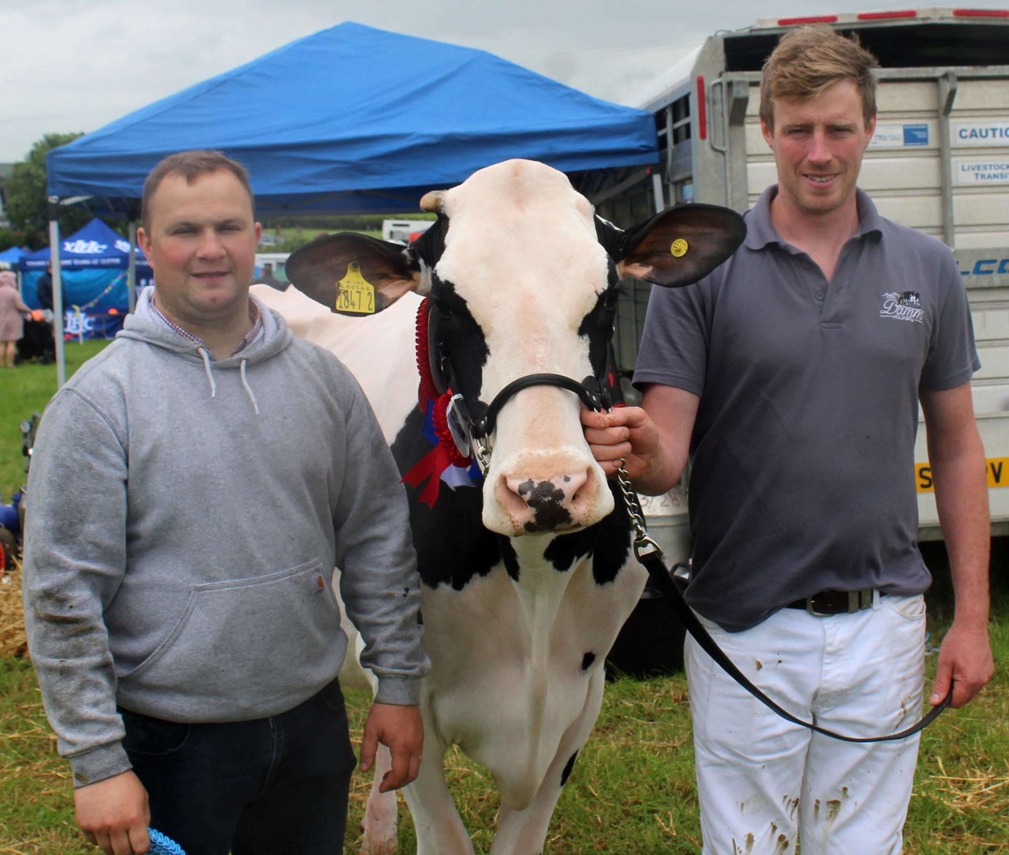 Record entry of livestock at Newry Show 2026