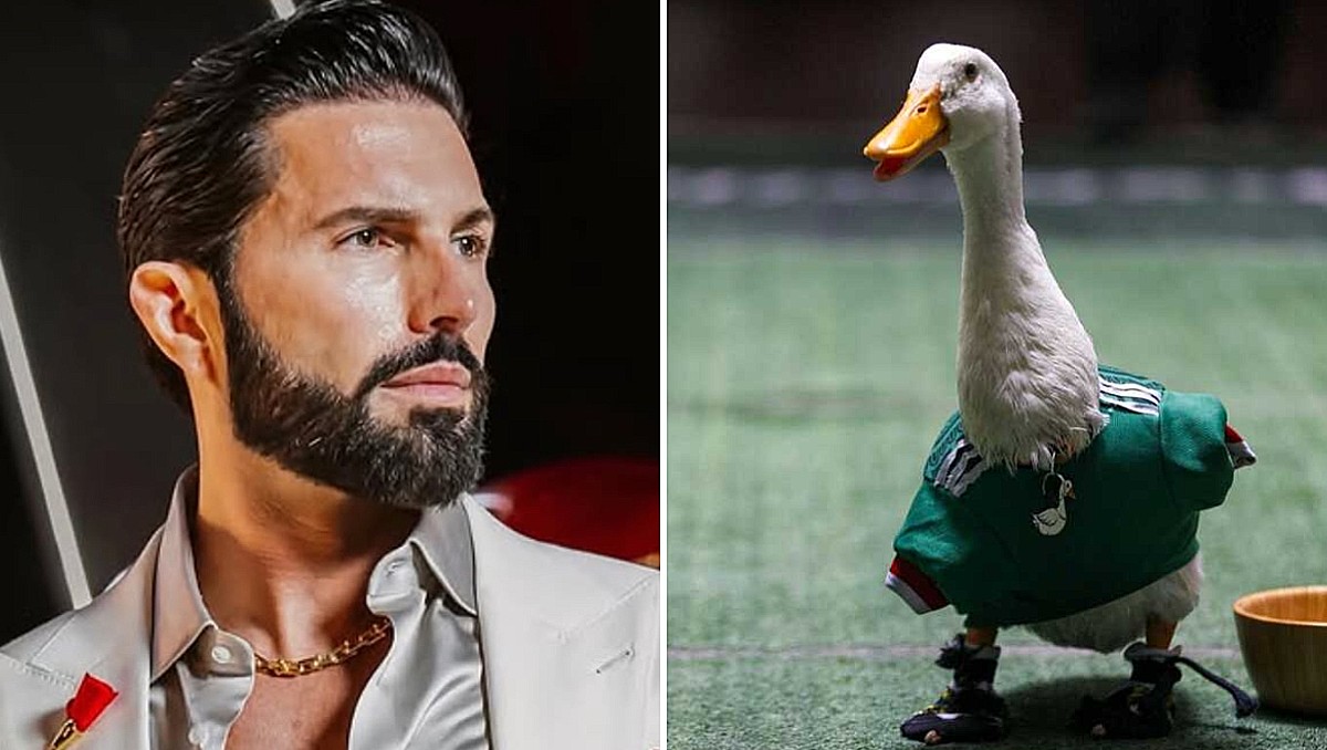 ¿Qué pasó con ⁠Poncho de Nigris y el Pato Merlín? Conductor anuncia ...