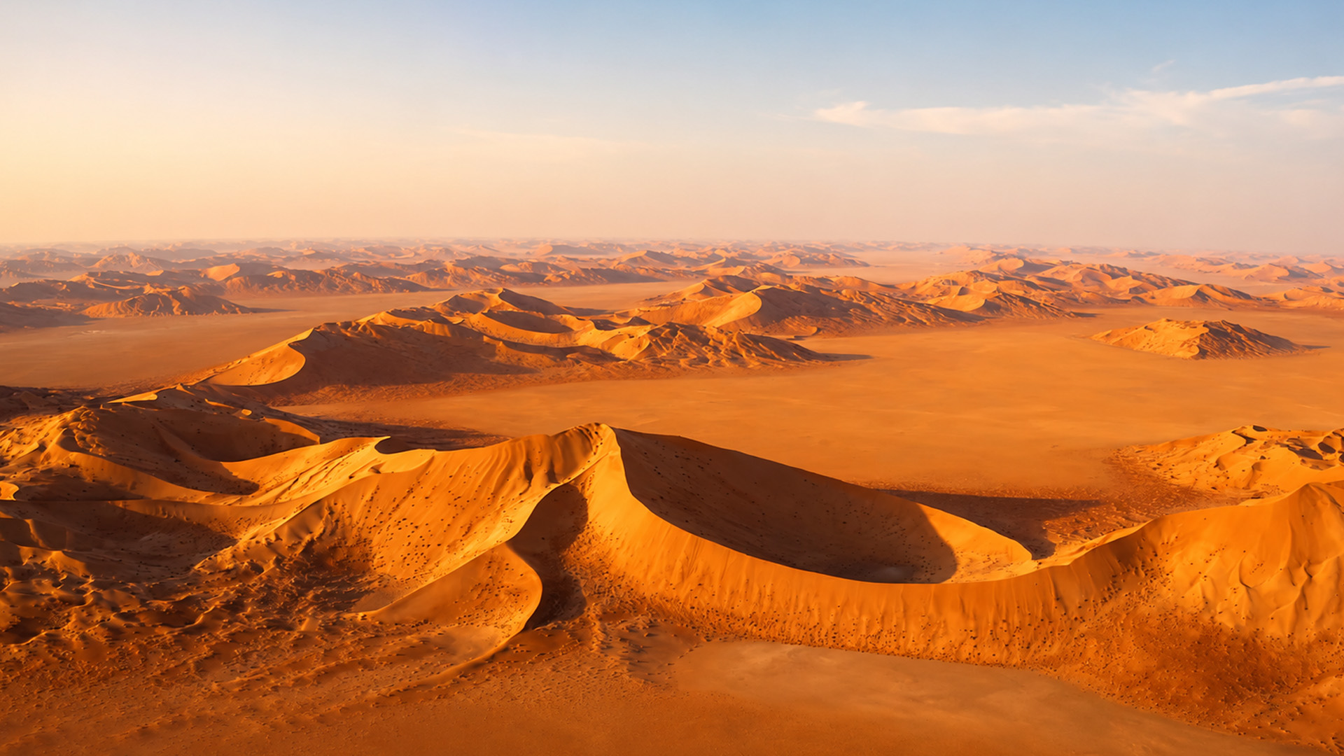 How Can Anything Survive In This Desert 