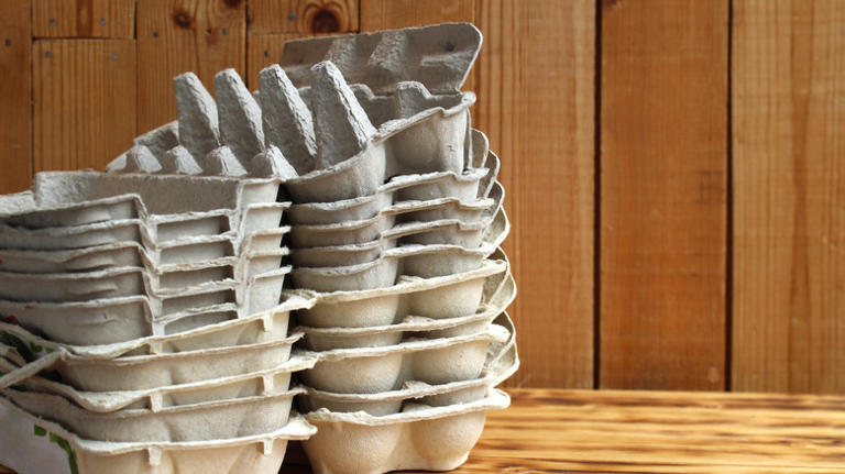 Use old egg cartons for a savvy DIY that lights up your yard
