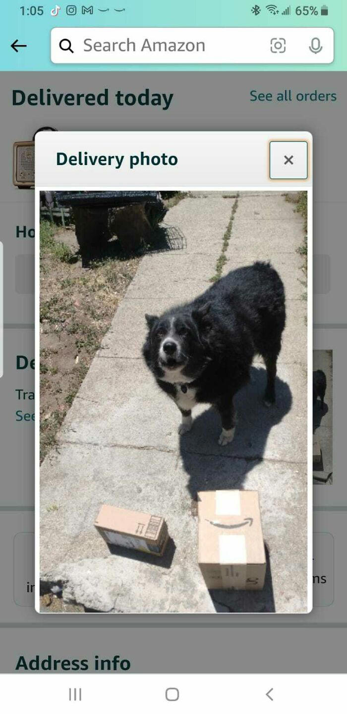 75 package delivery disasters that are honestly just really funny