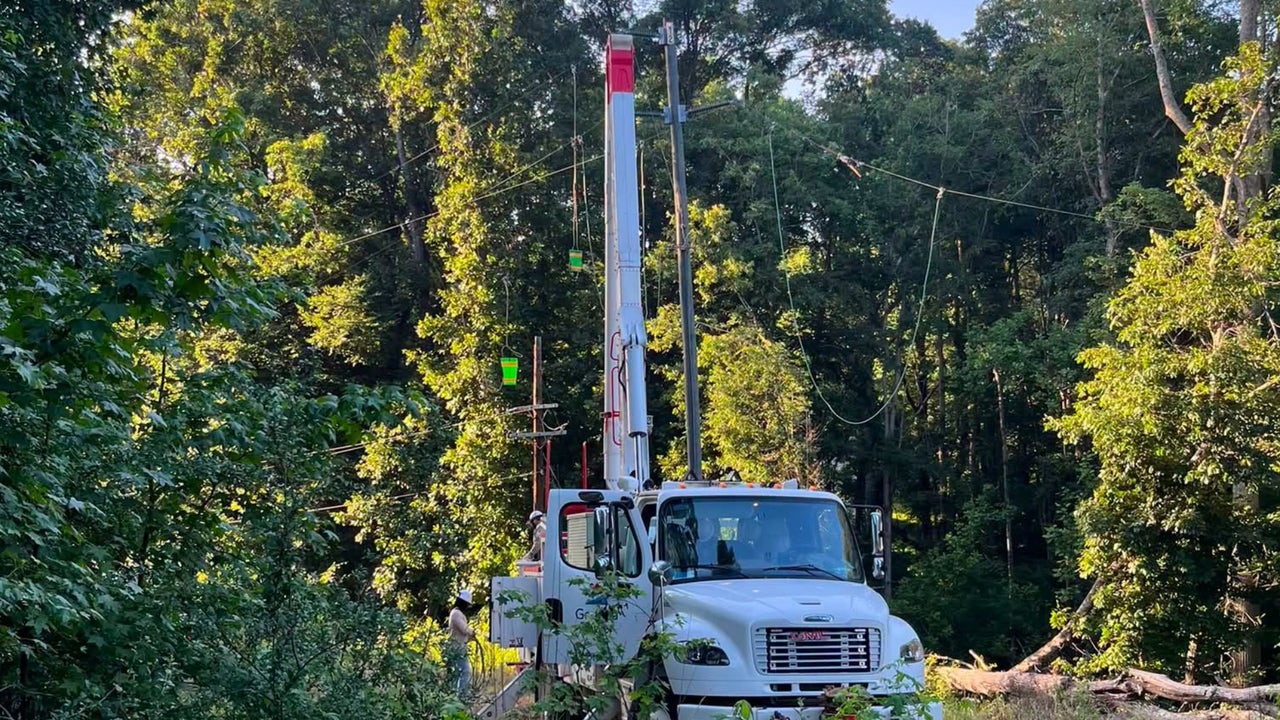 Power restored after fallen tree causes major outage in Palmetto