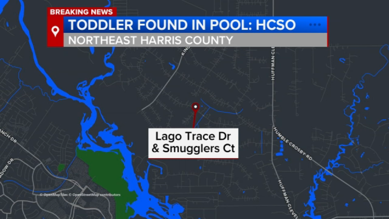 Toddler dies after being found unresponsive in swimming pool in ...