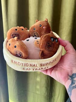 Plush toy set featuring five small capybaras labeled