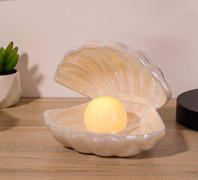 iridescent shell with light inside