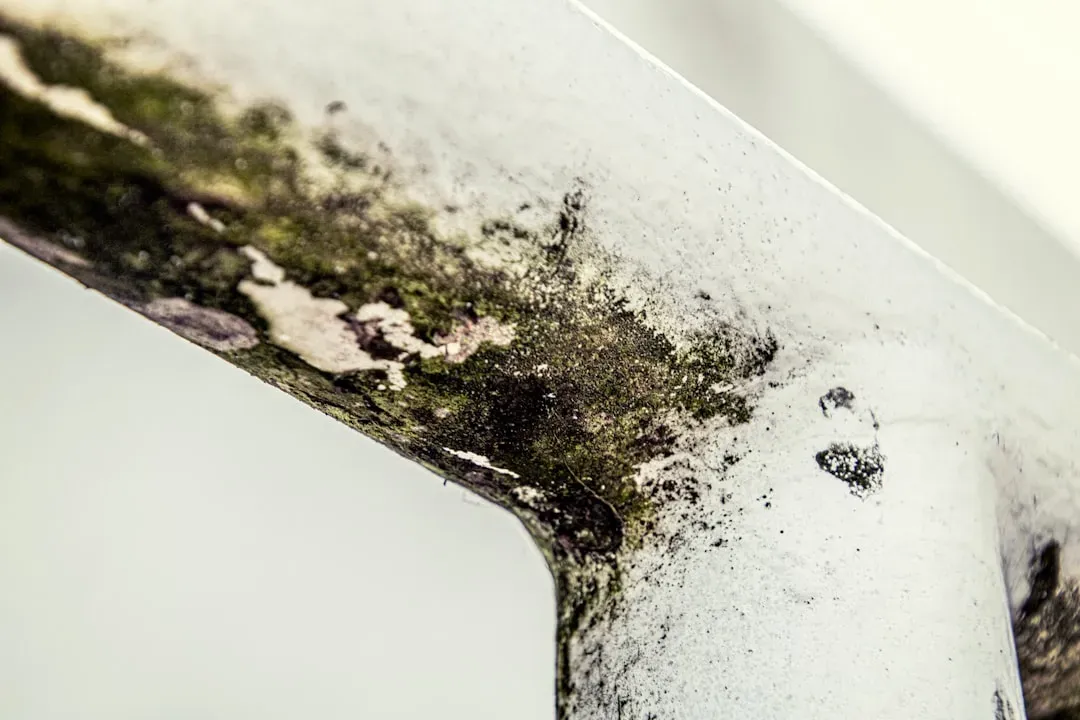 Does your home have that stale old house smell - here is exactly how to ...