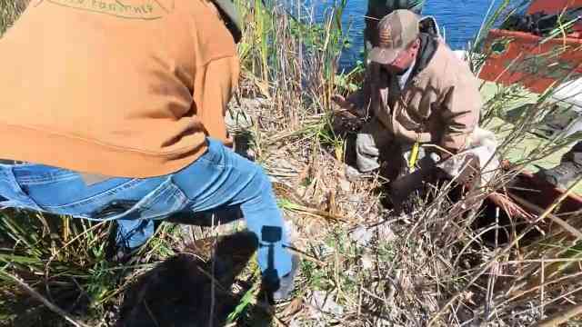 A python hunt turns into a fight for survival