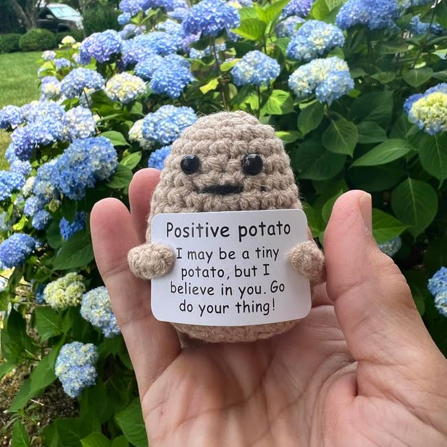 Hand holding a small crocheted potato figure with a sign reading,
