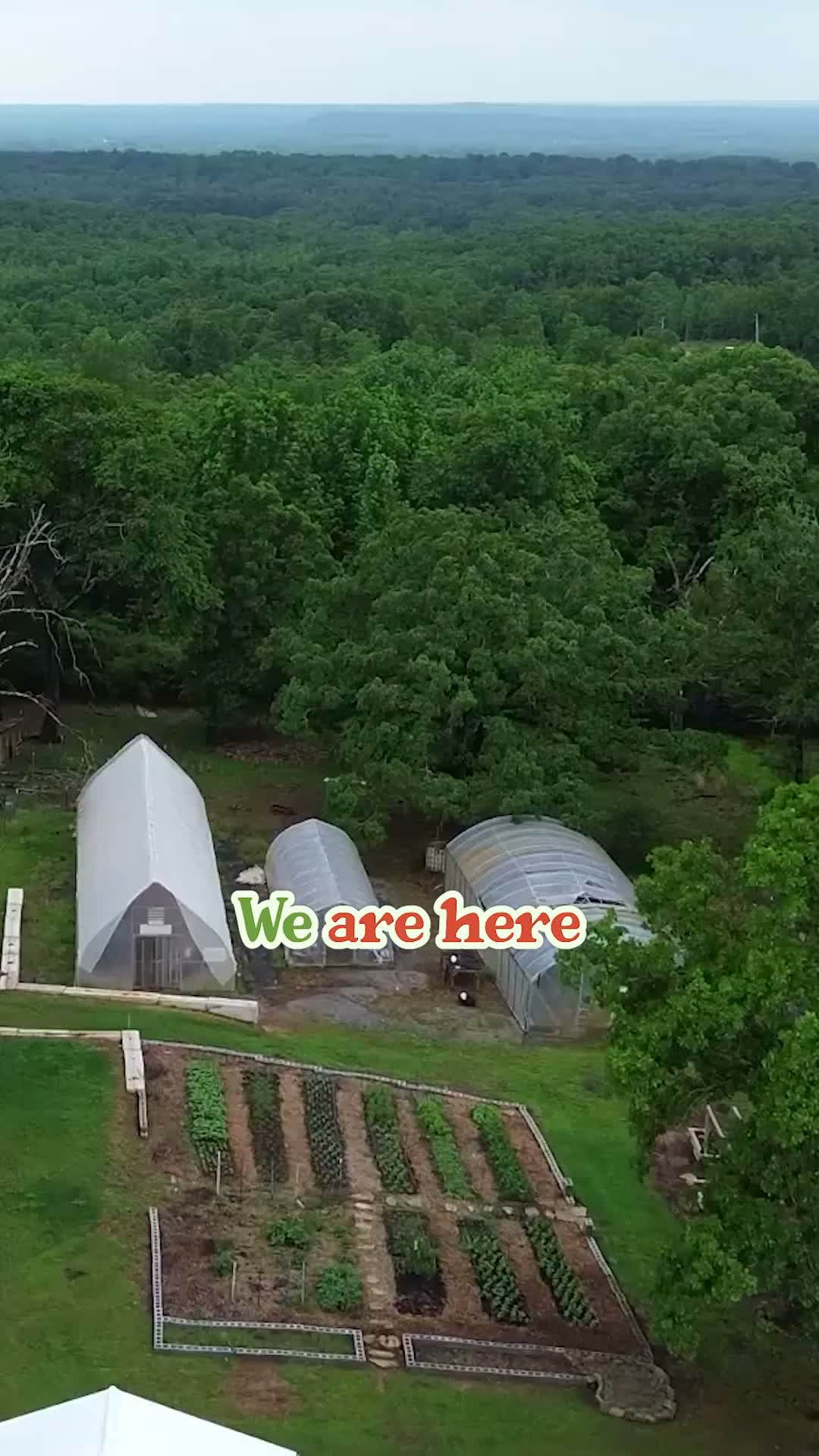 Inside the backyard farm making $100K a year