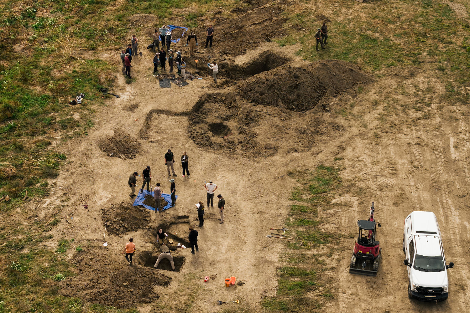 At least 117 dead dogs found in search at California animal rescue ...