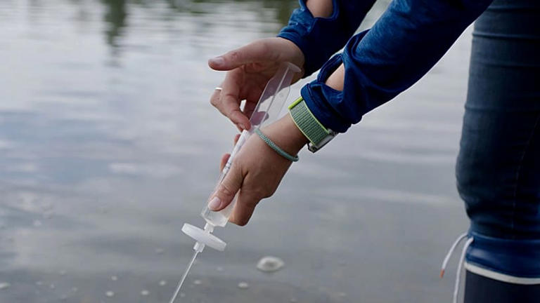 ‘Even a five-year-old can do it’: Collecting river water samples helps ...