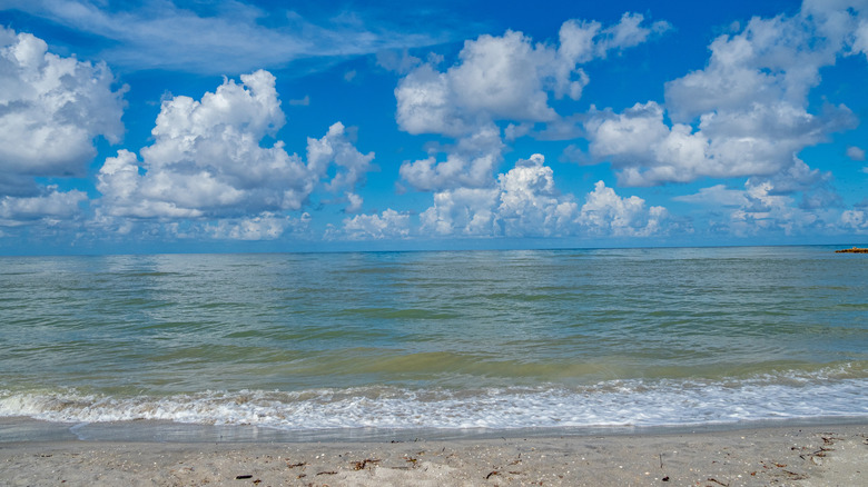 This Quiet Stretch Of Florida's Pristine Gulf Coast Is Very Under-The-Radar And Rivals The Caribbean