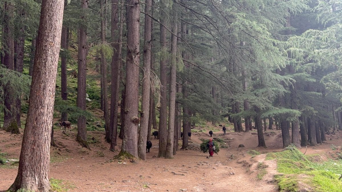 Parvati Valley built a music, rave and drug economy. Now it doesn’t ...