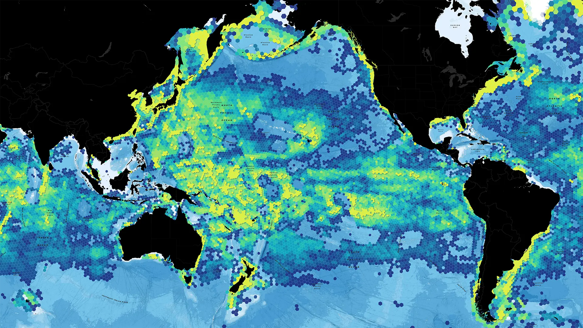 A deep dive into global fishing data