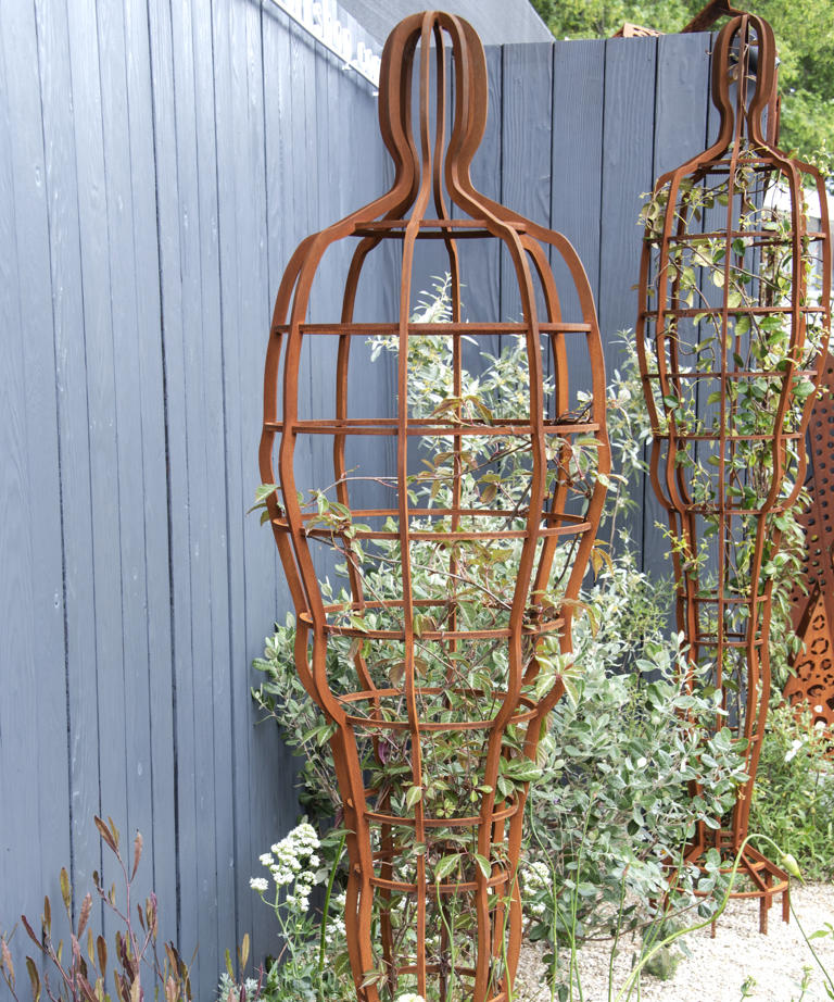 You don't have to grow climbers up a trellis: These unusual ideas make ...