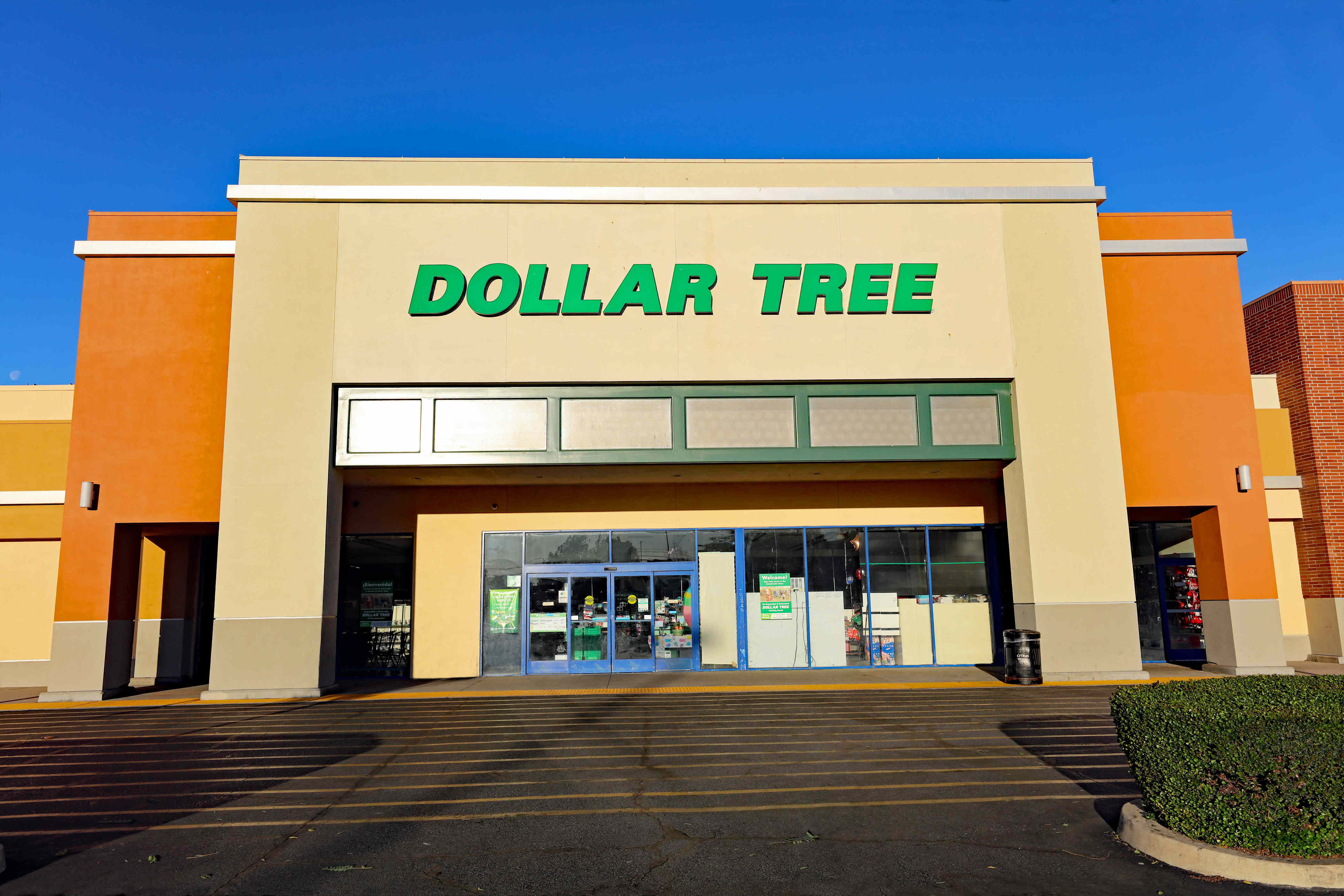 The $1.25 Dollar Tree find so good I’m buying 8 (they’re nearly identical to Wil...