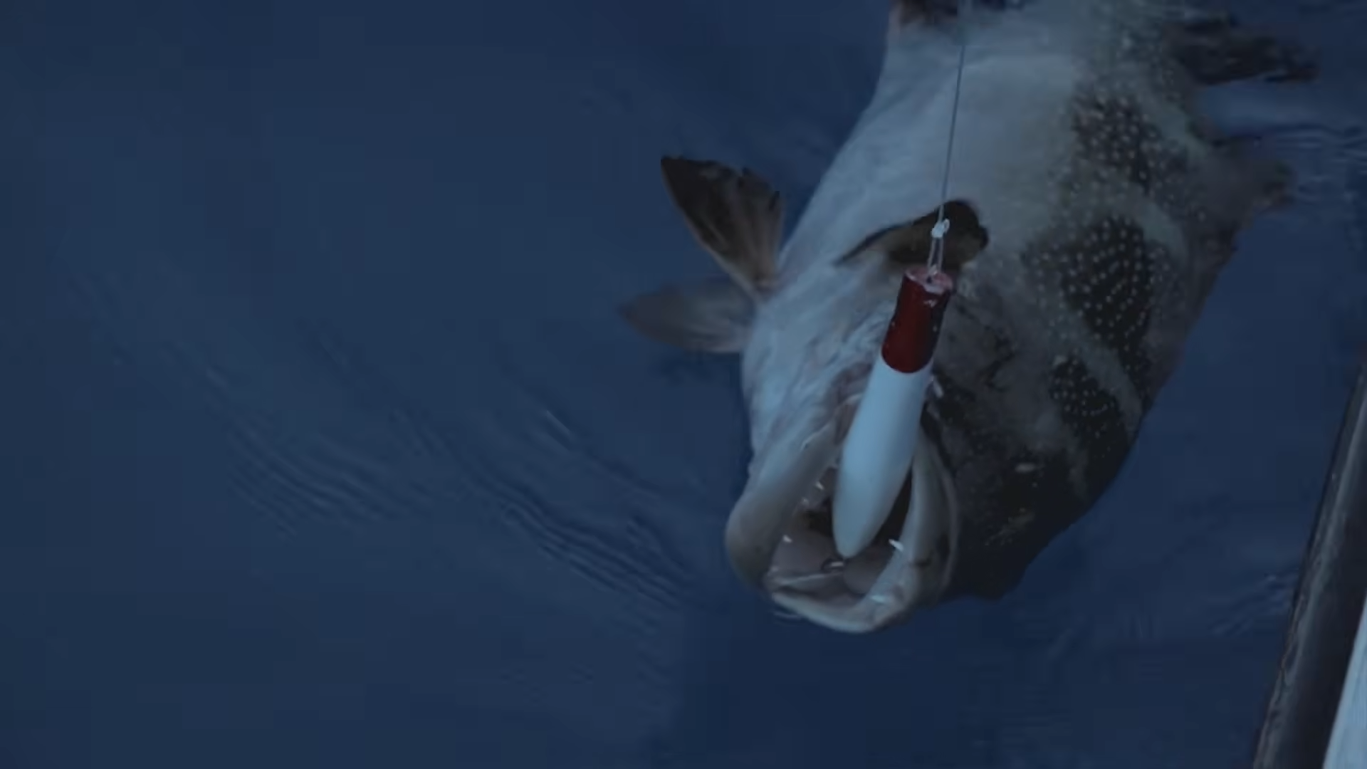 Giant predator destroyed their last fishing lure