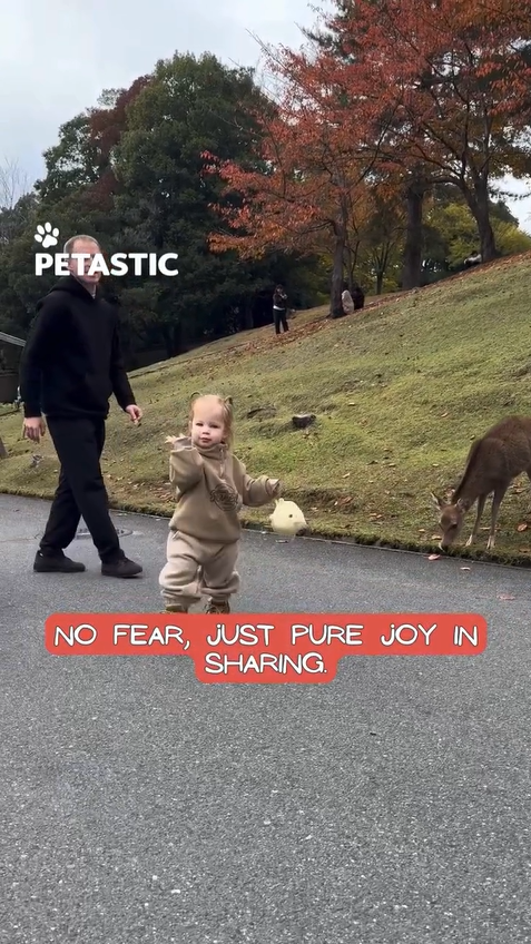 Child shares snack in sweet animal moment