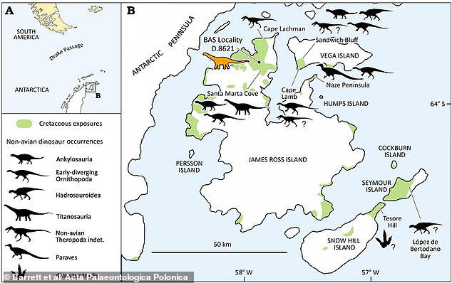 Bone hidden in a drawer for 40 years turns out to be Antarctica's first ...
