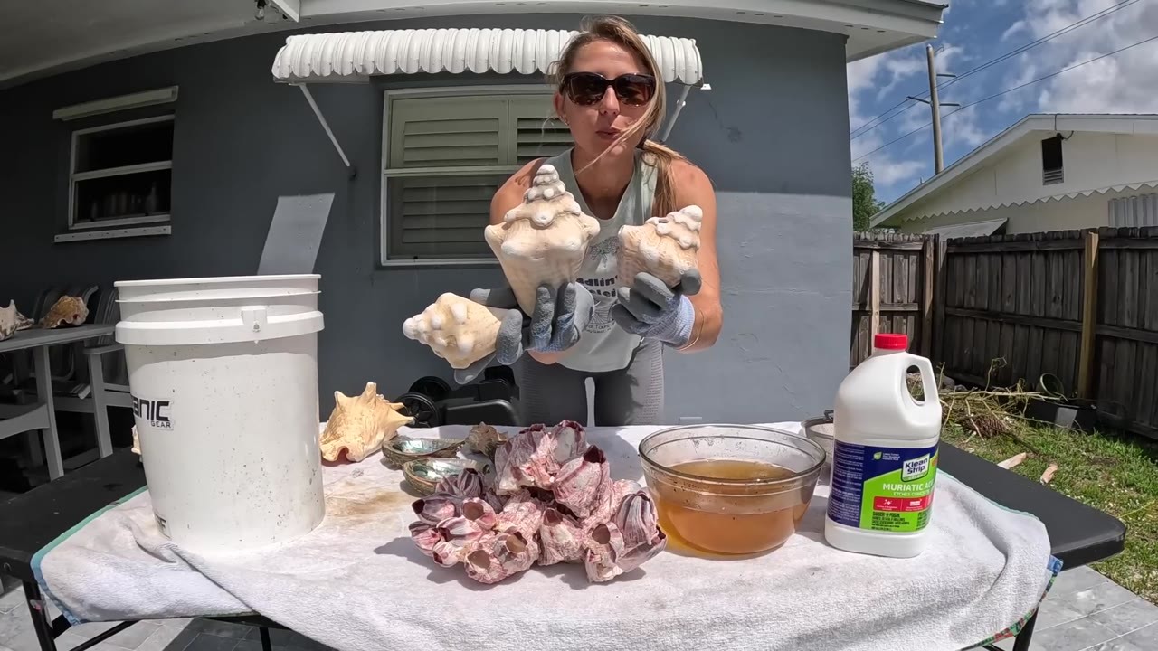 She left these beach shells in acid for 3 seconds... the results were ...