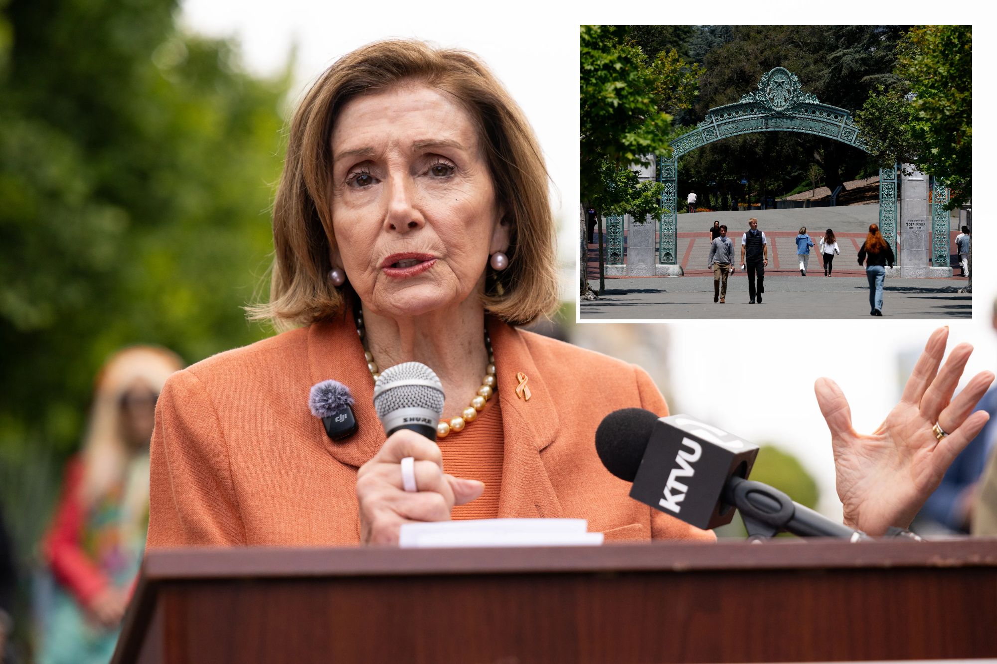 Nancy Pelosi’s post-Congress job revealed: 'Liberation'