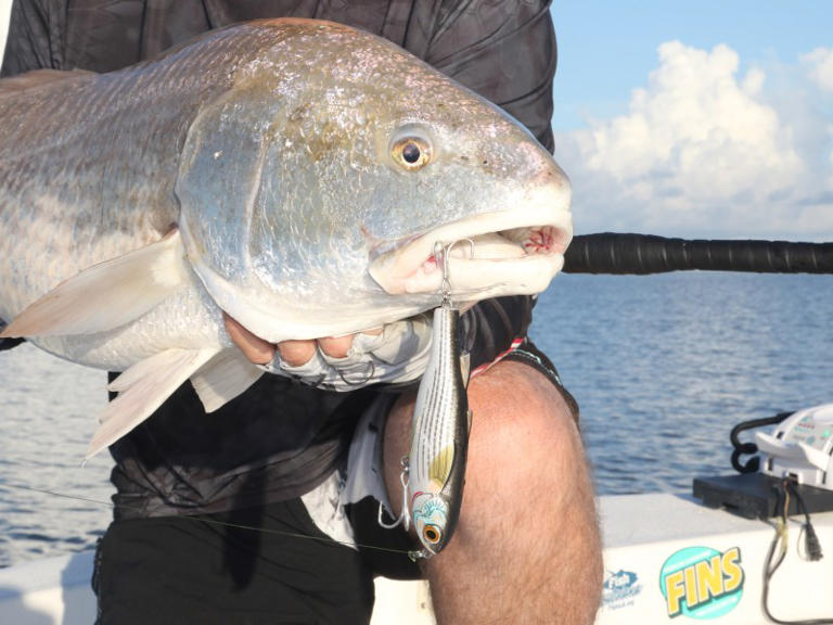 Nine top bull redfish destinations